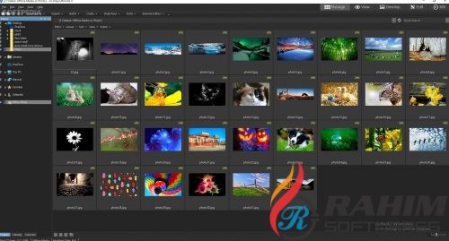 ACDSee 20 Free Download