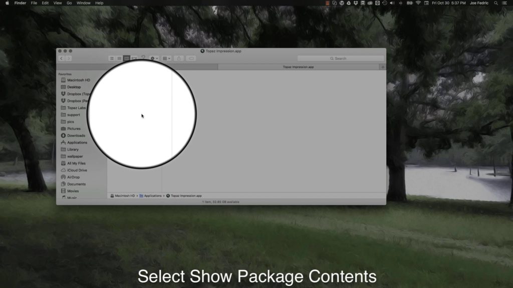Topaz Impression 2.0.5 Mac Free Download