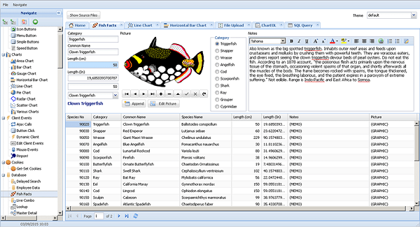 FMSoft uniGUI Complete Professional 1.90 RC for PC