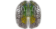 Download Mimics Innovation Suite Medical 21 for PC