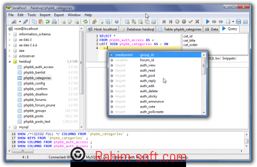 HeidiSQL Free Download