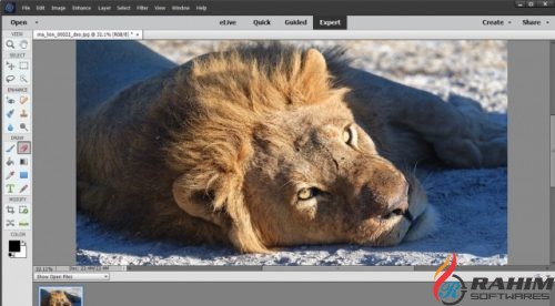 Adobe Photoshop Elements 2018 Free Download