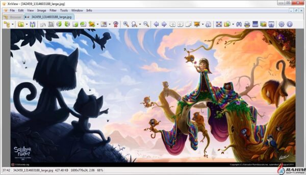 XnView 2.42 Extended Free Download