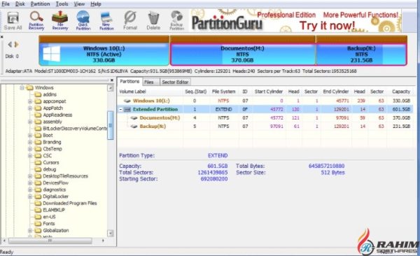 PartitionGuru Pro 4.9.5 Portable Free Download