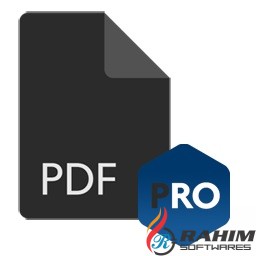 PDF Anti Copy Pro 2.6.4 Portable Free Download