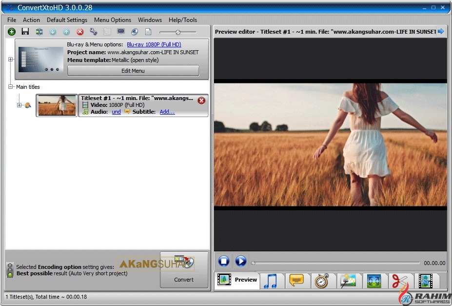 VSO ConvertXtoHD 3.0.0.52 Portable Free Download