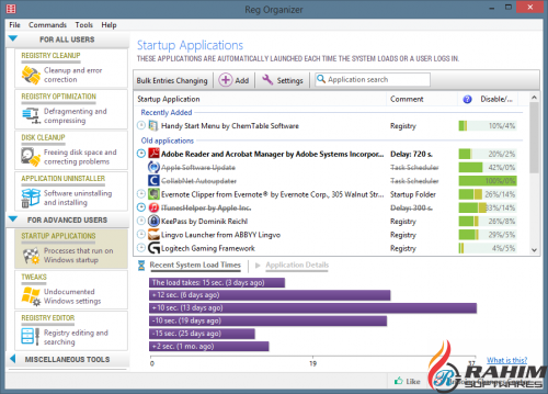 Reg Organizer 8.02 Portable Free Download