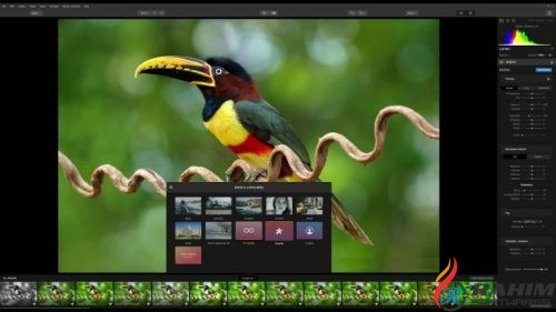 Luminar 2018 1.0 Free Download