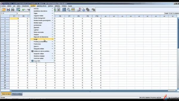 Learn SPSS From Scratch to Advanced Free Download