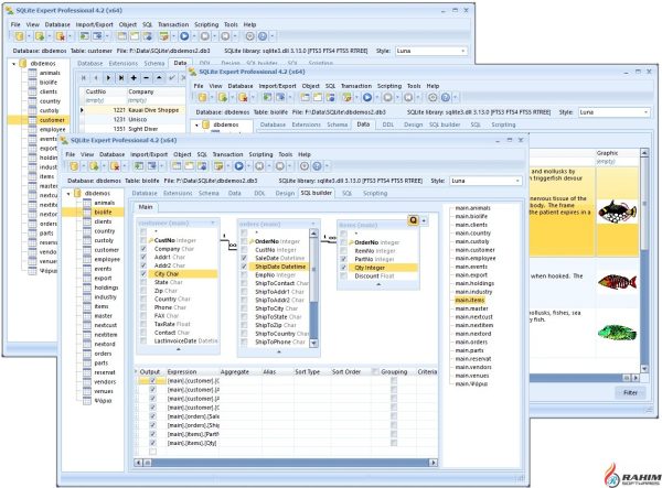 SQLite Expert Professional 5.2.2.299 Free Download