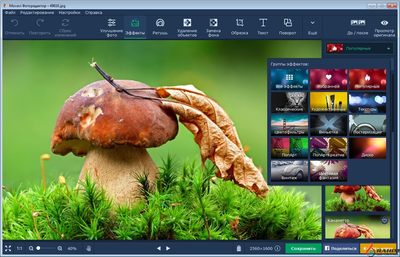 Movavi Photo Editor 5.0.0 Portable Free Download