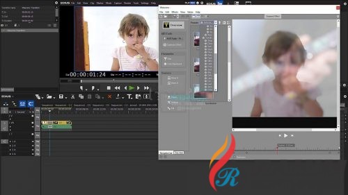 proDAD Vitascene 3.0 Free Download