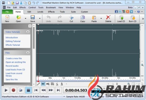 NCH WavePad 8 Beta Free Download