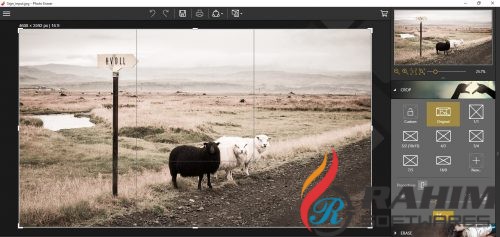 InPixio Photo Clip 8 Portable Free Download