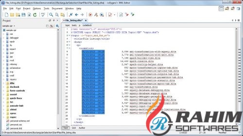 Oxygen XML Editor 19 Free Download