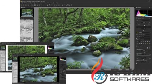 SILKYPIX Developer Studio Pro 8 Portable Free Download