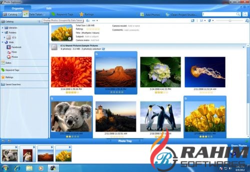 Avanquest Photo Explosion 5 Deluxe Free Download