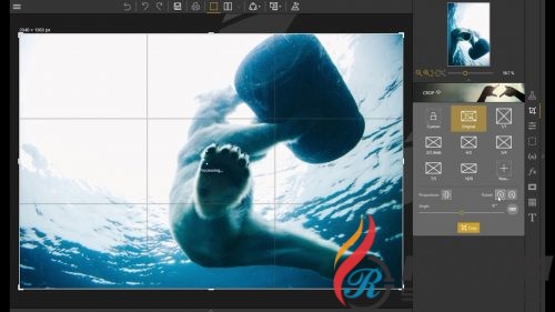 InPixio Photo Clip 8 Portable Free Download