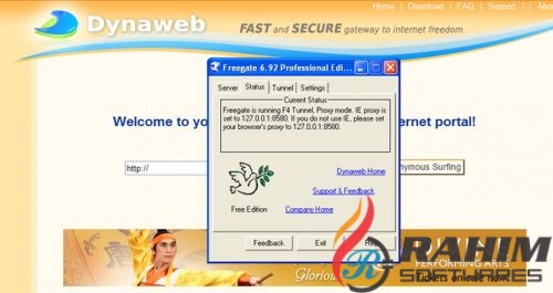Freegate Professional 7.6 Portable Free Download