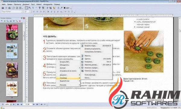 SoftMaker FlexiPDF 2019 Professional 2.0.1 Free Download (1)