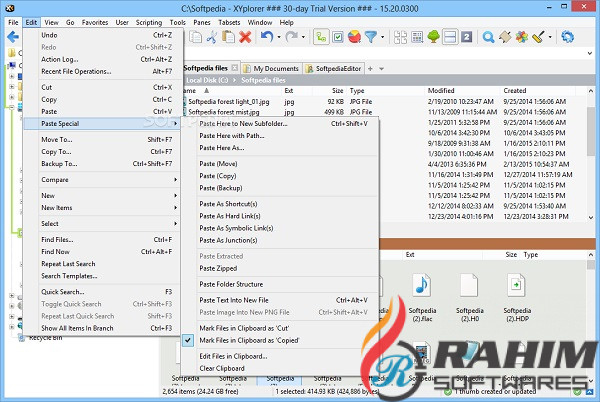 XYplorer Pro 19 Direct Download Link