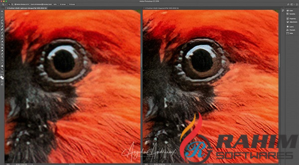 Topaz Labs Gigapixel AI 4.1.1 Free Download for PC