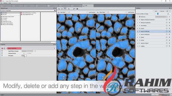 Download Thermo Scientific FEI AVIZO 2019 Free