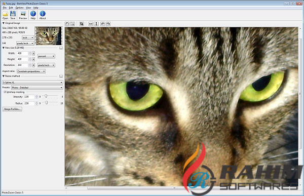 Benvista PhotoZoom Pro 8.0.4 Portable Free Download