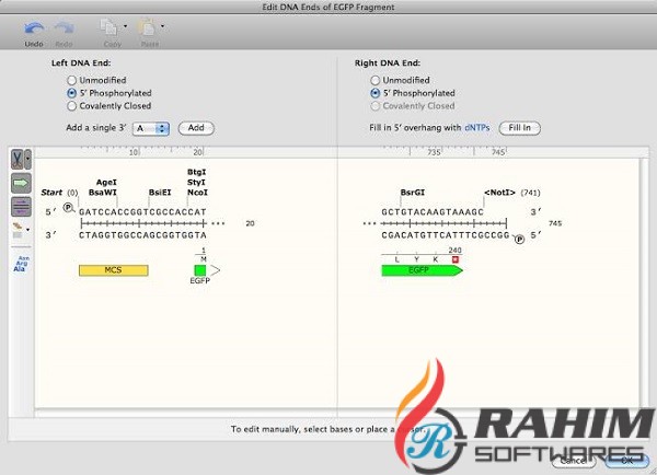 SnapGene 5.0 Free Download