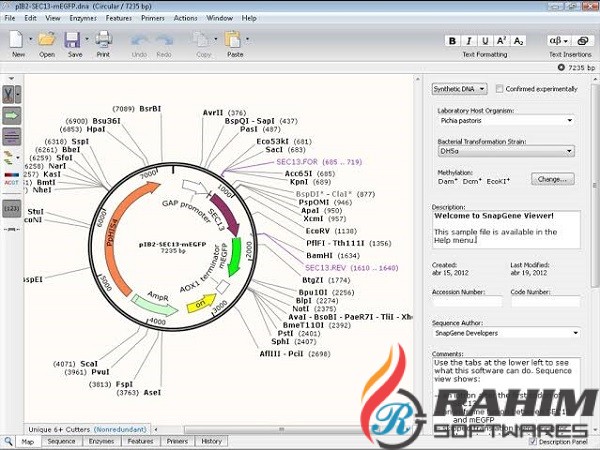 SnapGene 5.0 Free Download