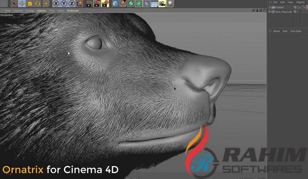 Ornatrix 1.0 Plugin for Cinema 4D Free Download