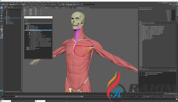 Ziva Dynamics Ziva VFX 1.8 for Maya Free Download