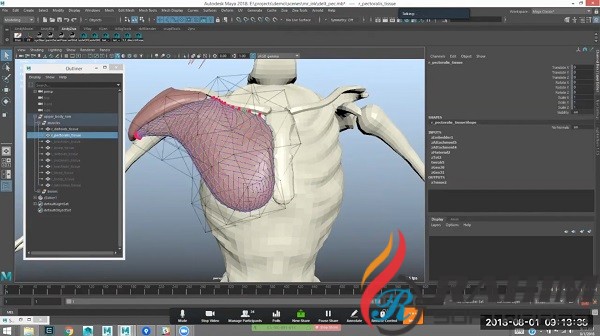 Ziva Dynamics Ziva VFX for Maya Free Download