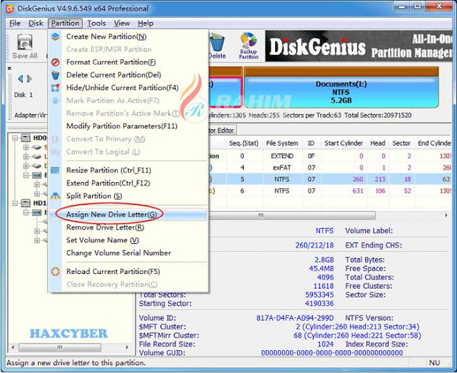 DiskGenius Professional 2020 free download