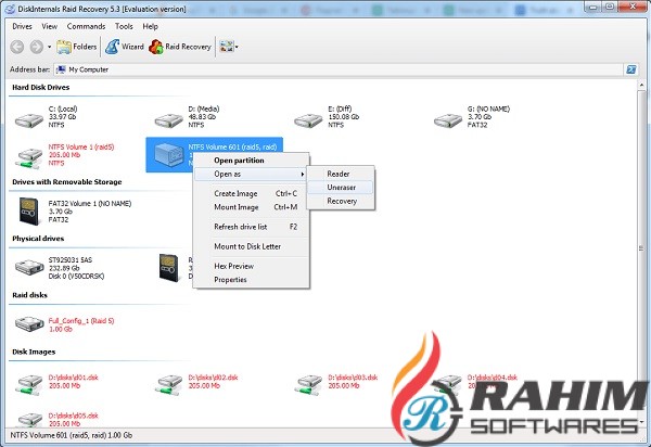 DiskInternals Raid Recovery 3.1 Free Download