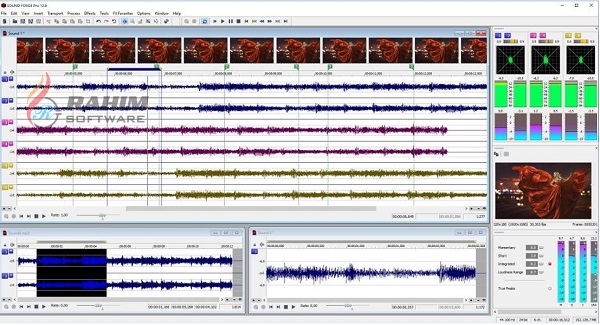 Magix Sound Forge Pro Suite 14