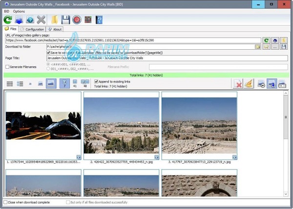online bulk image downloader