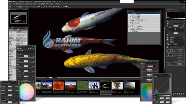 Download silkypix developer studio pro 10 Portable