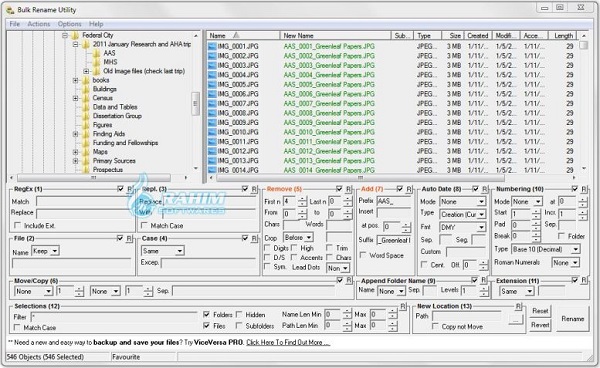 Bulk Rename Utility 32 bit