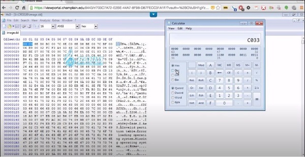 hex editor download