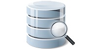 DbVisualizer Pro 12