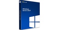 Windows Server 2019 icon