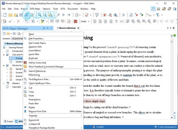 Oxygen XML Editor free
