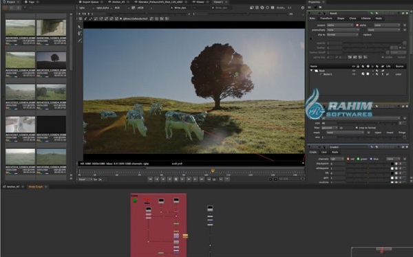 Nuke vs After Effects