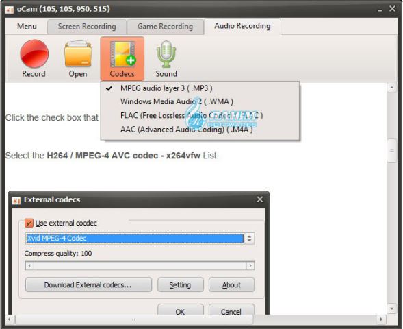 oCam screen recorder review