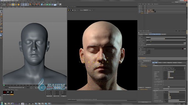 Arnold for Cinema 4D R21
