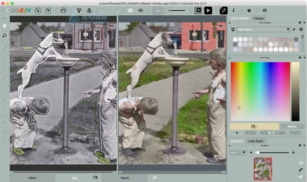 Image Colorizer Pro