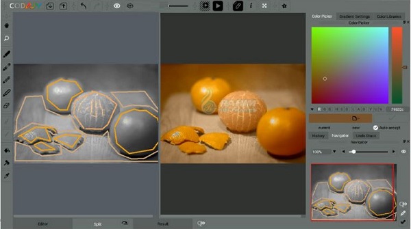 Photo colorizing software Reviews