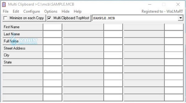 ElectraSoft Multi Clipboard