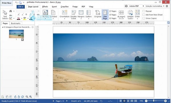 PDF print preview online